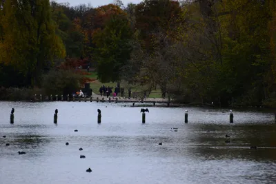 DSC_0557 (Large).JPG